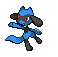 th_Riolu.gif